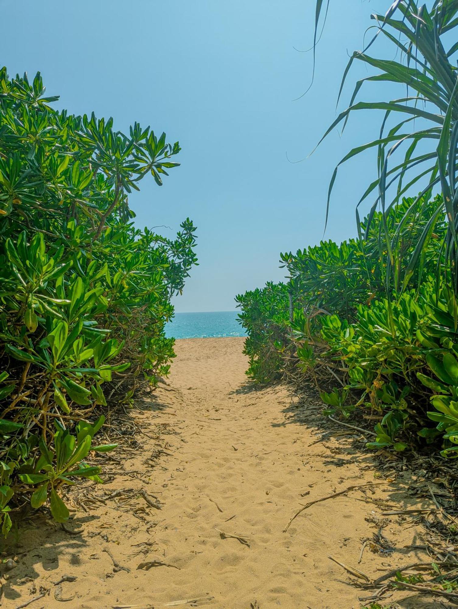 Southern Edge Cabanas تانجالي المظهر الخارجي الصورة